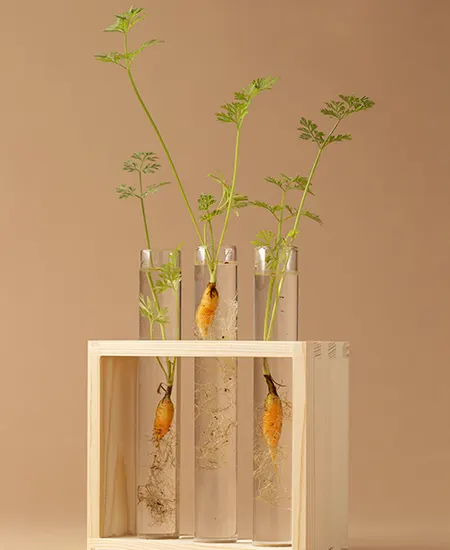 Bio Technology & Health Tech | GLBRDC, Mathura